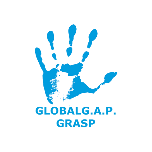 GRASP certification