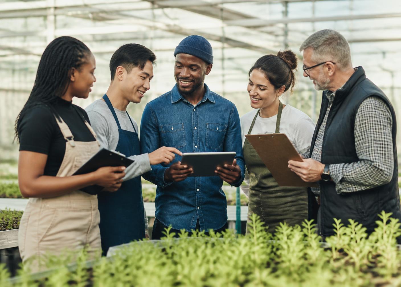 Diverse farm and supply chain team reviewing plans together in a greenhouse